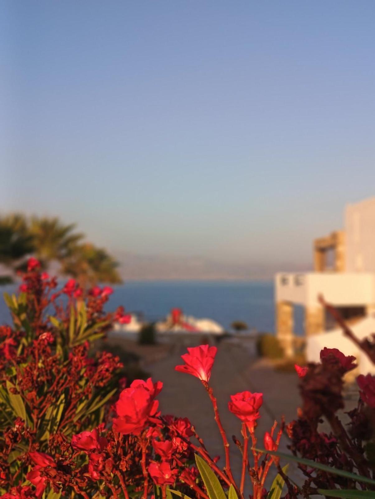 شقة Aura Paros لوغاراس المظهر الخارجي الصورة
